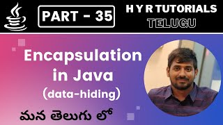 P35  Encapsulation in Java  Core Java  Java Programming [upl. by Elmo]