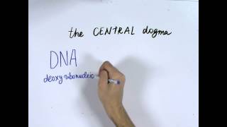 11 What is synthetic biology and the Central Dogma of Biology  MOOC iGEM hs [upl. by Llenram490]