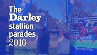 The 2016 Darley Australia stallion parades [upl. by Noid]