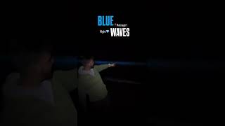 Blue Waves 🌊 RATNAGIRI NIGHT BEACH bioluminescence blueoceanyoutubeshorts youtube nightwave [upl. by Zaccaria]