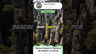 Stone Forest A Misteriosa Floresta de Pedras na China [upl. by Acirret]