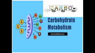 2nd level Education Biology Biochemistry CHE236 lecture no 2 2 [upl. by Petrine]