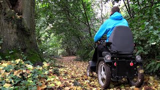 Explore Mill Meadow amp The Spinney woodland [upl. by Affrica51]