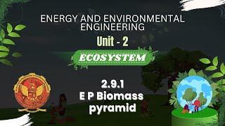 291 E P Biomass pyramid  ES301 [upl. by Lav171]