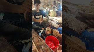 Wow Big Katla Fish Cutting by Smart Boy  Big Fish Cutting Skills shorts fishcutting [upl. by Greenberg]