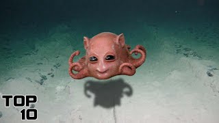 Top 10 Disturbing Creatures Seen At The Bottom Of The Mariana Trench [upl. by Neehcas]