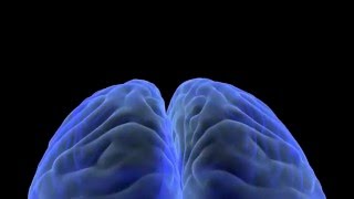 Brain Synapse Animation by Studio 44 Productions [upl. by Eiuqram534]