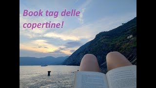 Booktag delle copertine [upl. by Loats836]