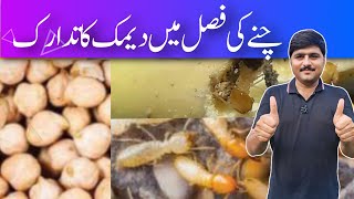 How to control termite and cut worm in gram and vegetables [upl. by Ahsenrad]