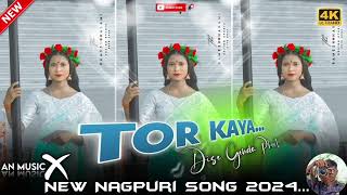 TOR KAYA DISE NEW NAGPURI SONG DJ REMIX 2024 NEW NON STOP NAGPURI SONG 💯⚡ INSTAGRAM TRENDING SONG [upl. by Mahda629]