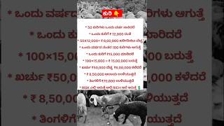 RISK AND RICH💲 cow cowfarm dairyfarm sheepfarming hainugarikeinformationinkannada [upl. by Belayneh]