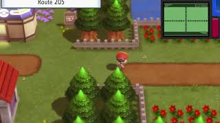 Pokemon Brilliant DiamondShining Pearl  Dowsing Machine Hidden Items Part 1 [upl. by Beaston]