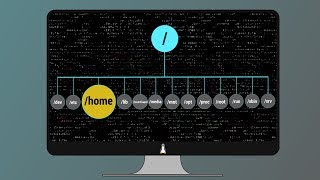 05 Linux Root Folders Explained [upl. by Aicertap]