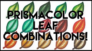 Tutorial Leaf Combinations in Coloured Pencil [upl. by Neersin]