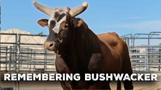 Remembering Bushwacker [upl. by Polard359]