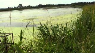 Urban Exploration Wallaceburg Abandoned Overflow Pumphouse [upl. by Fagan738]