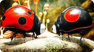 MINUSCULE 2  LES MANDIBULES DU BOUT DU MONDE Bande Annonce 2019 [upl. by Ellened437]