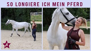 Ohne Ausbinder LONGIEREN I Kappzaum amp Bridal I Übungen Faszientherapie an der Longe I Ponyhausen [upl. by Voe578]