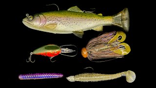 Top 5 Baits For December Bass Fishing [upl. by Pearline696]