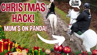 A VERY FAST CHRISTMAS HACK  MUM RIDES PANDA [upl. by Nalrah]