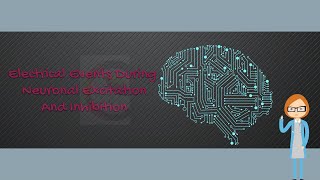 Electrical Events During Neuronal Excitation and Inhibition [upl. by Caritta]