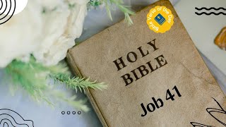 Job 41  Bible Reading  Bible Verse Of The Day  Word of God Audio Bible [upl. by Neiluj197]