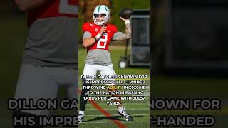 Dillon Gabriel Rising Star Quarterback Highlights [upl. by Ivah]