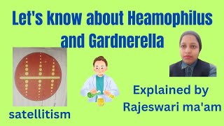 lets know about Heamophilus and Gardnerella 2nd vedio [upl. by Rhoades]