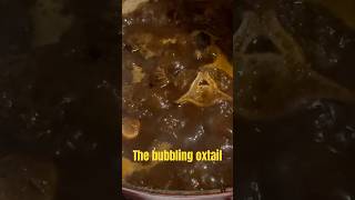 Oxtail food cooking cookingfood [upl. by Eerehs]