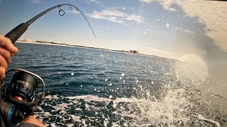 Offshore Kayak fishing Panama city beach [upl. by Allan]