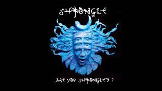 Shpongle  Divine Moments Of Truth HQ [upl. by Suillenroc261]