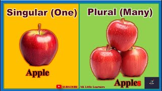 Singular and Plural  Singular and Plural Nouns  One or Many  Use of S or es  NK little learners [upl. by Ynaffyt]