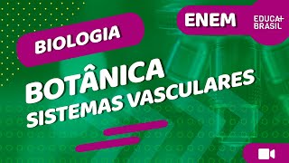 BIOLOGIA – Botânica – Sistemas Vasculares ENEM [upl. by Upali442]