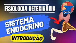 Sistema endócrino  Introdução  Fisiologia veterinária  Aula 1 [upl. by Eelhsa646]