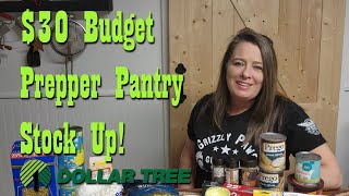 30 Budget Prepper Pantry Stock Up Haul from Dollar Tree  Preparedness [upl. by Ais]