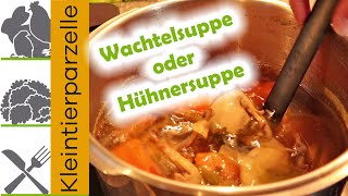 Wachtelsuppe aus 5 Wachteln  Leckere einfache Hühnersuppe  Fleischbrühe für WachtelFrikassee [upl. by Nahtnhoj414]