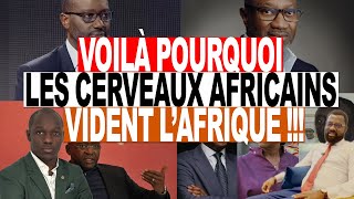 Achille AGBE Génie Financier Africain Jai été poussé à la sortie dans mn pays fuite des cerveaux [upl. by Lepp841]