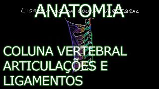 Aula Anatomia  Coluna Vertebral  Articulações e Ligamentos  Anatomia Humana Osteomuscular [upl. by Atinuj846]