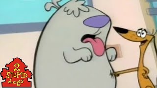 2 Stupid Dogs S01E01 Door Jam [upl. by Acnayb]