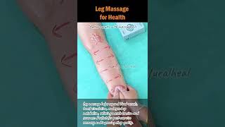 Leg Massage for Health legmassage sorenessrelief leghealth fatiguereduction legpain [upl. by Nolita48]