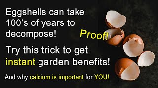 How to unlock the potential of eggshells in your garden [upl. by Airdnalahs]