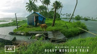 Refreshing walk in heavy rain on the backwaters of Kerala  ASMR rain sounds for deep relaxing sleep [upl. by Yule]