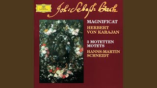 JS Bach Singet dem Herrn ein neues Lied BWV 225 [upl. by Justinn]