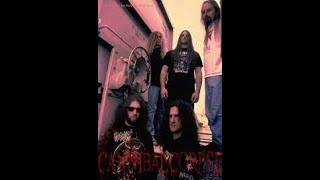 Cannibal Corpse  Entrails Ripped From A Virgins Cunt live 1995 HD [upl. by Ecyac552]