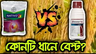 Nativo vs Amistar Top  নেটিভো ও অ্যামিস্টার টপ্ এর মধ্যে কোনটি ধানে বেস্ট [upl. by Haibot896]