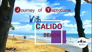 Journey of Taprobane  Calido Beach Kalutara  Sri Lanka Full Video [upl. by Aiam444]