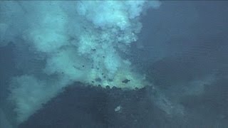 Underwater Vents and Volcanoes [upl. by Kerk]