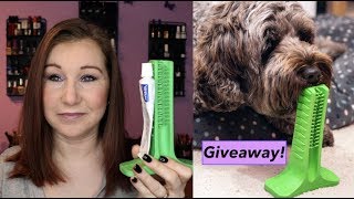 Now dogs can clean their own teeth Brite Bite Giveaway amp Review [upl. by Wittie612]