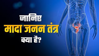 जानिए मादा जनन तंत्र क्या Know What is the Female Reproductive System  FemaleReproductiveSystem [upl. by Aylatan]