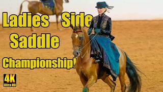 HAAA Ladies Side Saddle Champ All Disciplines at Region 7 Arabian Horse Show [upl. by Leumek]